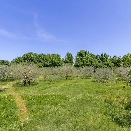 In Valbandon Near & Pool アパート