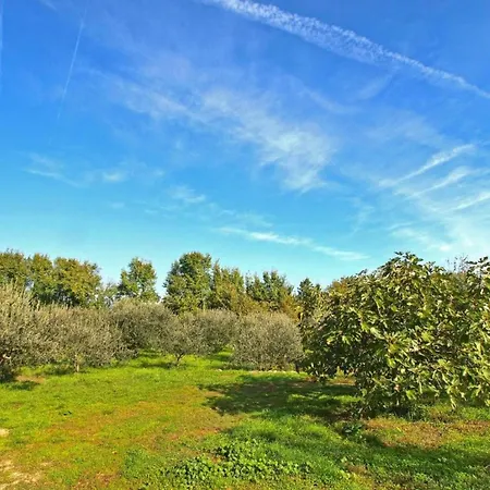 In Valbandon Near & Pool アパート