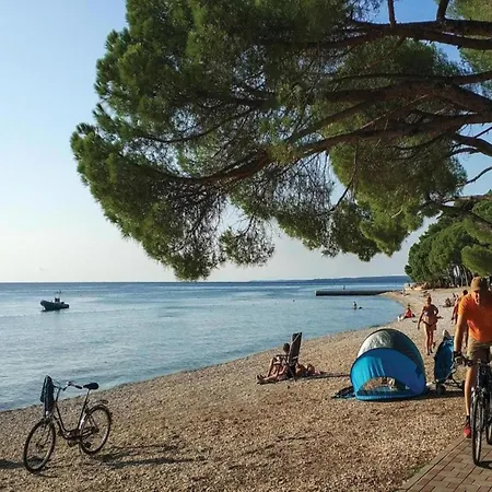 アパート In Valbandon Near & Pool